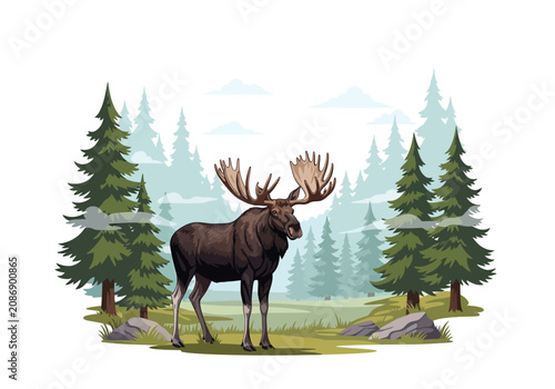 Fotografie Large Moose with Big Antlers Standing.