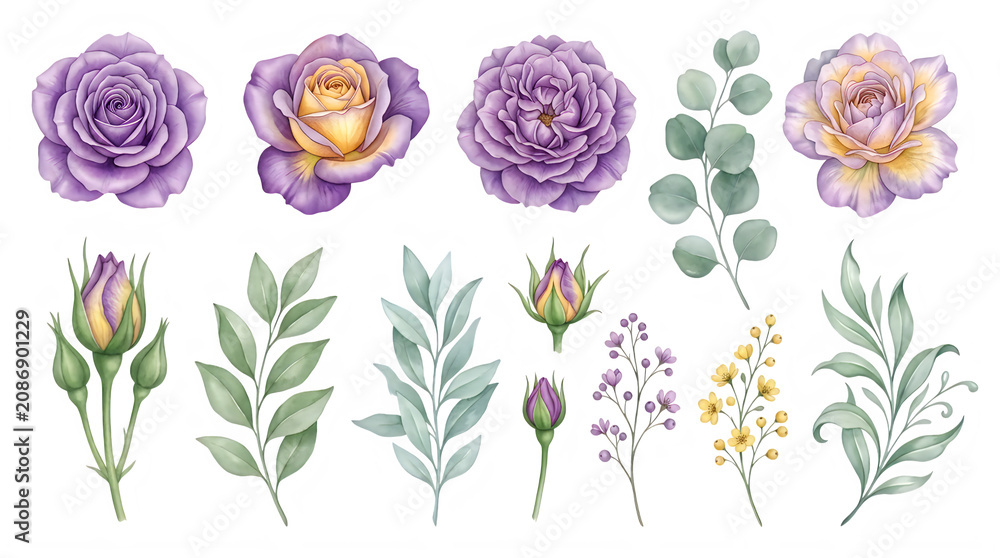 Fototapeta premium Purple and yellow flowers set with green leaves
