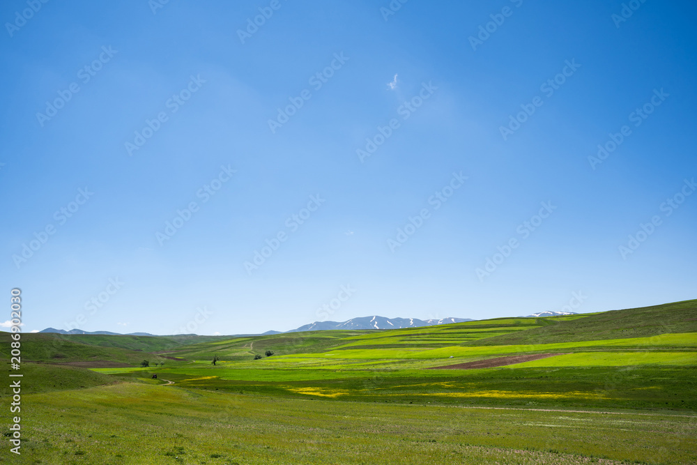 Fototapeta premium Rolling green hills with distant snow-capped mountains under a clear blue sky, panoramic spring countryside landscape, fertile farmland, scenic rural valley, natural background