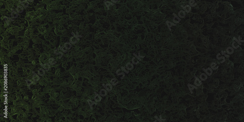 Foto Abstract dark green background with organic liquid patterns and subtle topography lines creating mysterious depth and texture