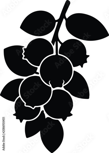 Silhouette vector blueberries bunch with green leaves for natural design