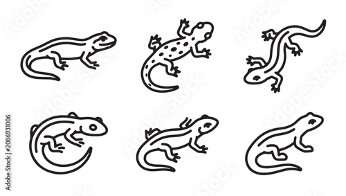 Hand drawn outline salamander icons collection with salamander amphibian wildlife creature collection illustration crawling isolated terrestrial