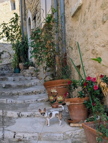 Callian village France