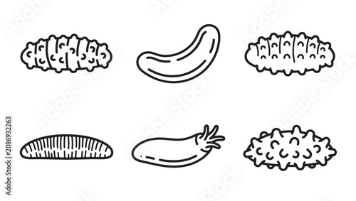 Sea cucumber and marine slug line art icon set with cucumber creature illustration collection underwater wildlife crawling isolated echinoderm tentacle organism