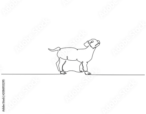 Dog animal continuous line art. Pet dog one line drawing. Pet animal concept vector illustration