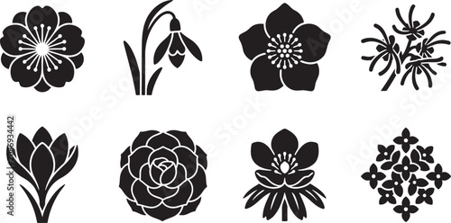 Detailed single flower heads featuring roses snowdrops and hydrangeas