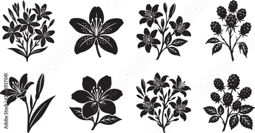 Star shaped lilies and wild blooming branch clusters graphic