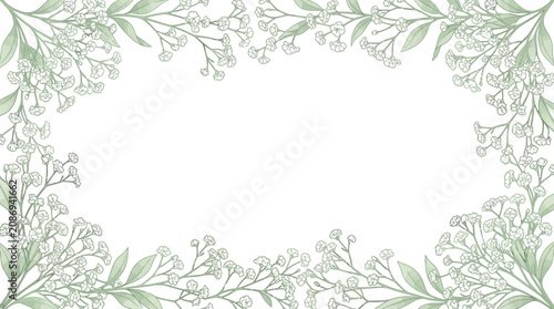 Fotografi Luxury floral border background with delicate Baby's Breath (Gypsophila) flowers