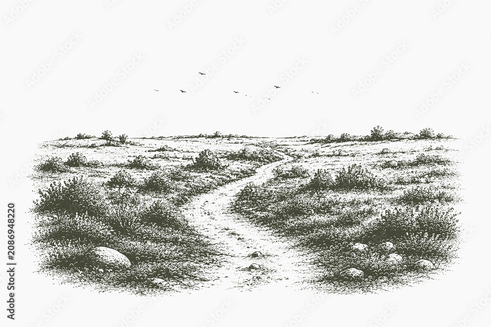 Obraz premium Vintage engraved winding countryside path vector illustration across open grassland in detailed hand drawn etching style for landscape and travel designs