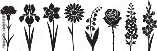 Tall vertical garden flowers carnation iris daffodil rose gladiolus silhouette