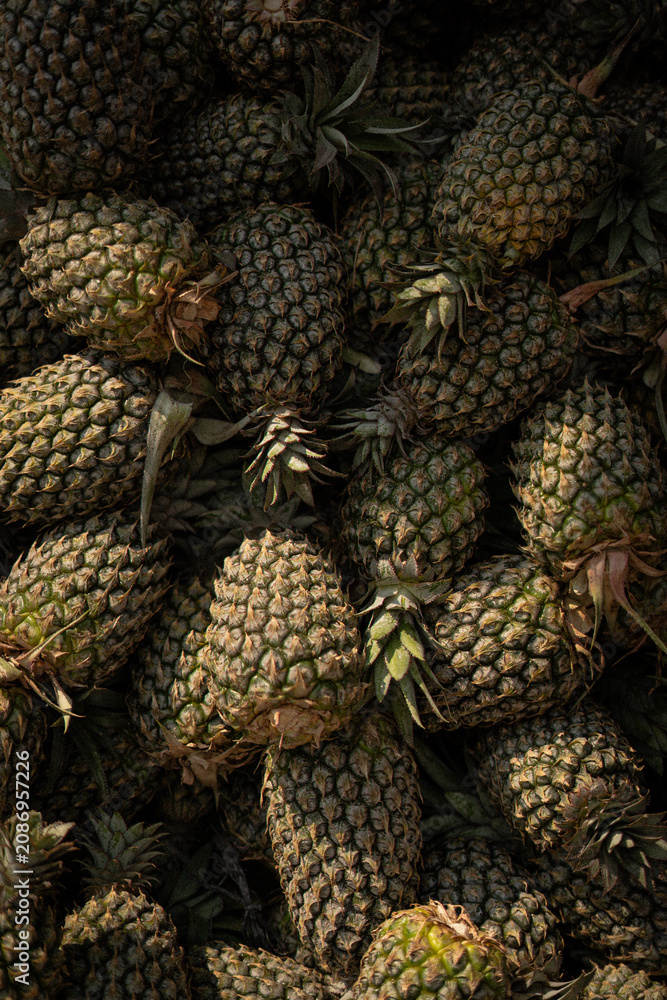 Fototapeta premium Pineapples pile high, textured skin gleaming