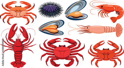 Obraz na plátně Shellfish and crustacean vector illustration collection featuring red lobsters v
