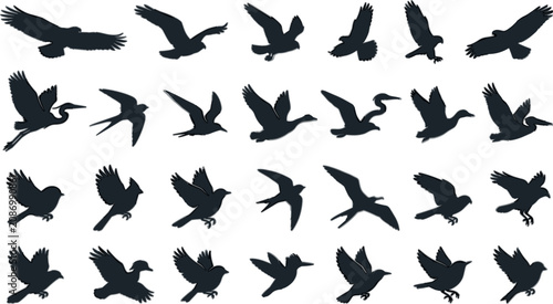 Tableau sur toile Small flying songbird silhouettes vector pack with swallow sparrow and cardinal