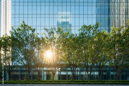 City park photo background for business banner with green trees and modern glass buildings