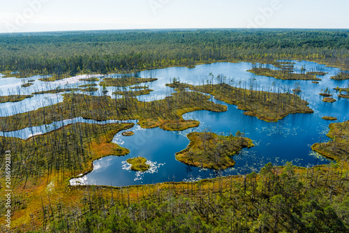 Aerial View of Cenas Bog Wetland with Lakes and Peatland Landscape in Latvia