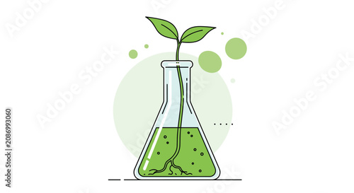 Small green plant grows from nutrient solution inside a glass laboratory flask illustrating concepts of biotechnology and scientific research.