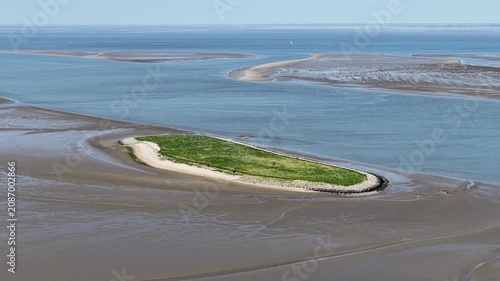 Tern Bird Breeding Island near Eemshaven Groningen Netherlands