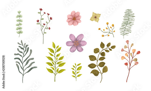 Colorful Flower and Plant Vector Set with Floral Leaves and Lily Blossoms for Spring Garden Bouquet Decoration Nature Illustration and Seasonal Design Collection