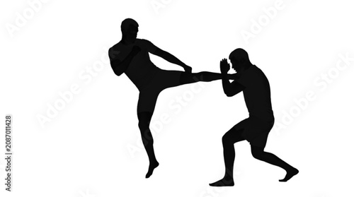 Photos Martial artist kicking opponent during fight