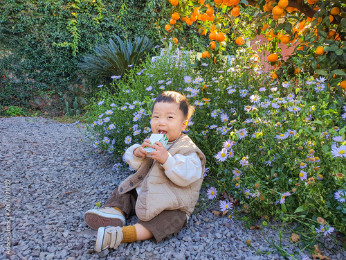 Cute Baby Boy Sitting on Gravel and Drinking Juice in Front of Tangerine Tree