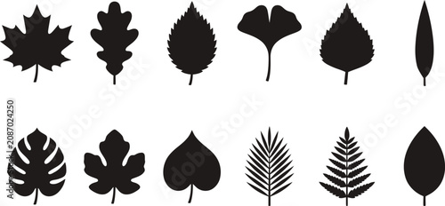 Set of various leaf shapes and silhouettes