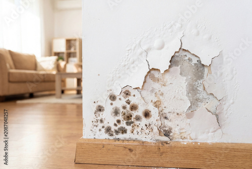 Mold and peeling paint on an interior wall caused by dampness and water damage in a domestic house