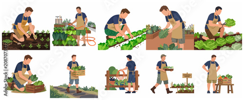 Set of male gardener characters planting, watering, and harvesting fresh organic vegetables in a communal garden, flat vector illustration.