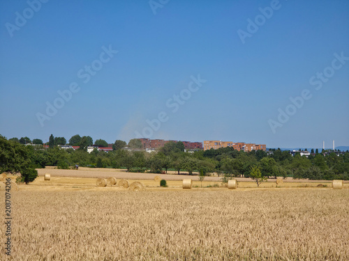 Obraz na plátne germany, stunning panoramic scharnhauser park cityscape beyond ripe grainfields