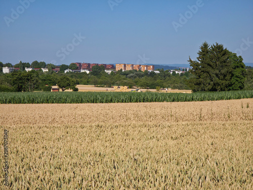 Canvas Print germany, expansive panoramic harvest landscape overlooking scharnhauser park wit