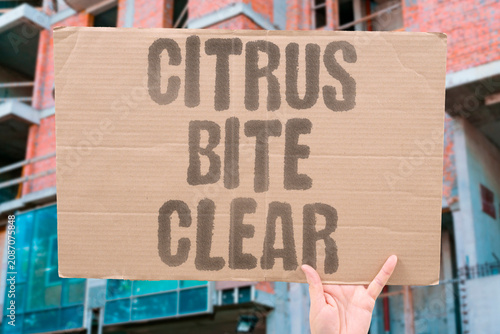 Фотография "Citrus bite clear" Sour taste awakens the senses