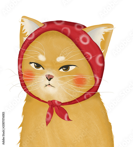 Photos Grumpy Summer Cat with Red Headscraft