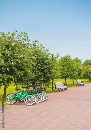 Tree lined pathway and rental bicycles invites recreation