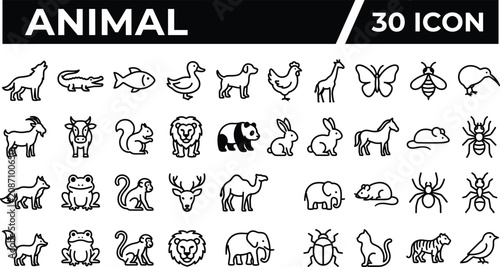 Photography Wild and domestic animal line icon set featuring lion elephant monkey panda wolf
