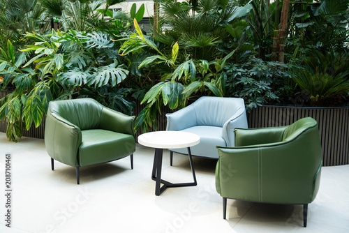 Modern office lounge area with green armchairs and lush foliage. Biophilic interior design in corporate coworking space