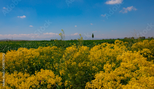 Mount Hasan and its surroundings, Aksaray