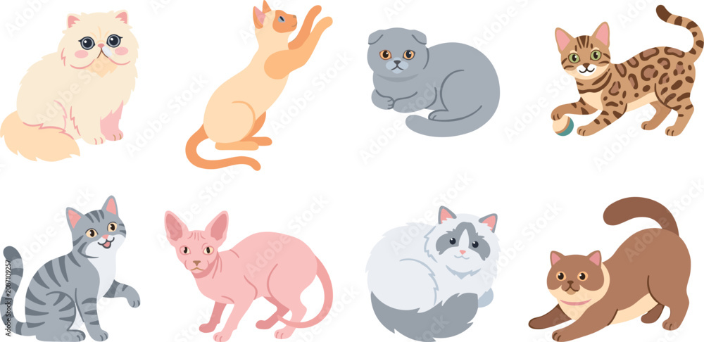 Fototapeta premium Cute Cat Breeds Cartoon Set with Different Poses and Styles Vector Illustration Collection