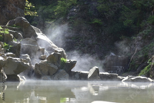 Obraz na płótnie 長野 地獄谷野猿公苑 温泉