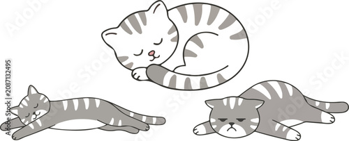 Foto Cute sleeping tabby cat characters vector illustration collection featuring lazy