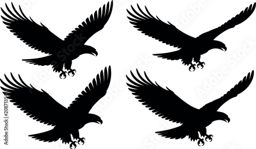 Photos Set of four flying eagle black vector silhouettes with wings spread wide and sha
