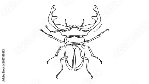 Detailed beetle line drawing on white background.