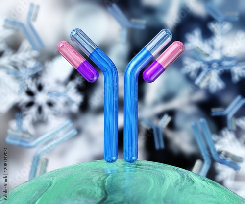 antibody, immunoglobulin, Y-shaped protein produced mainly by plasma cells,   3d rendering
