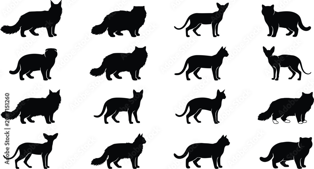 Fototapeta premium Collection of cat silhouettes isolated on transparent background for various design animal projects.