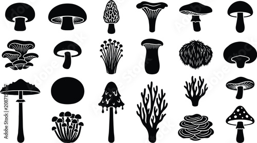 Bild auf Leinwand Edible and poisonous mushroom silhouettes set including champignon morel chanterelle and oyster fungi