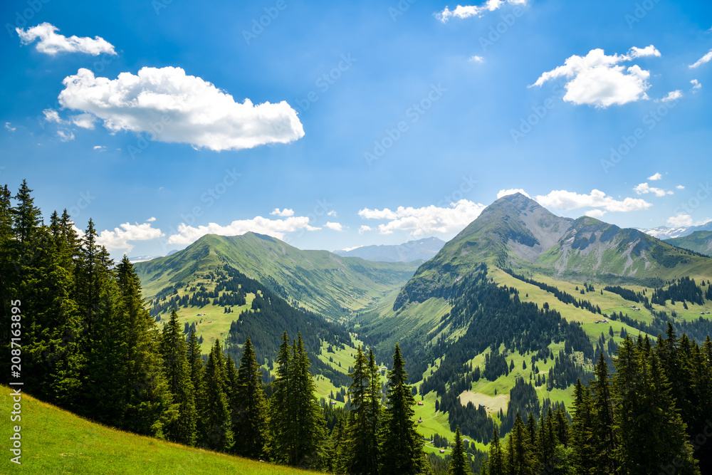 Fototapeta premium Forested alpine valley beneath a rocky peak