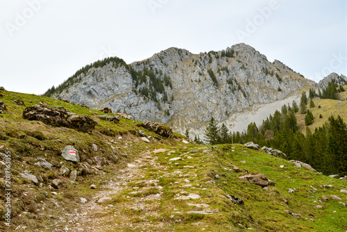 Stony hiking trail below a rugged limestone peak