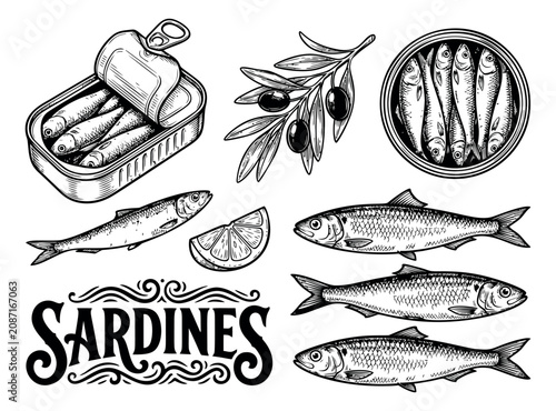 Engraving icon set of 9 sardine elements featuring canned fish, olive branch, lemon and vintage lettering for seafood packaging design