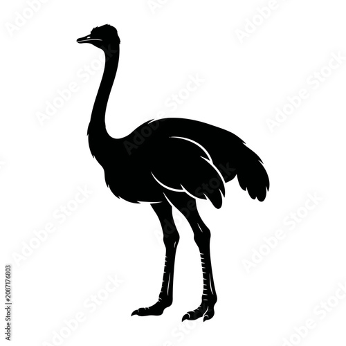 Black Ostrich Silhouette, Ostrich Icon, Bird Illustration, Wildlife Graphic isolated on White Background