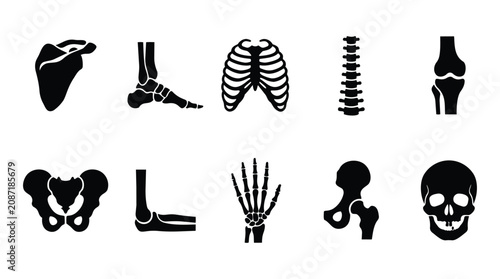 Tableau sur toile Black silhouette icons of human bones and skeletal parts