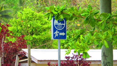 Tsunami evacuation route sign in lush tropical foliage, Samoa