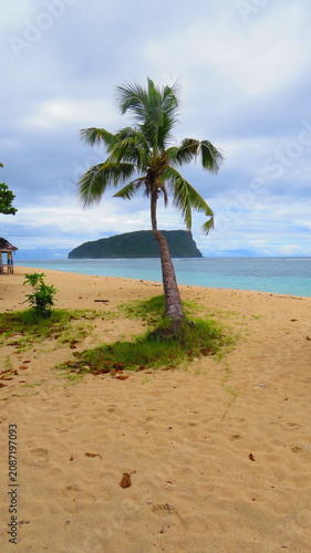 Leaning coconut palm on tropical beach with island view, Samoa